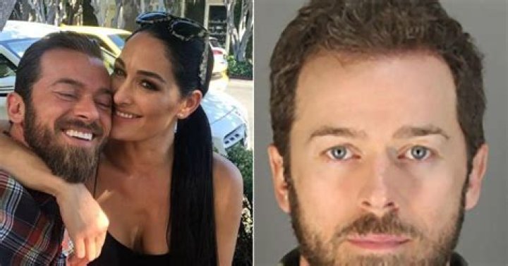 Brie Bella’s Husband Daniel Bryan Hilariously Interrupts Her Instagram Stories Ad and We’re Dying